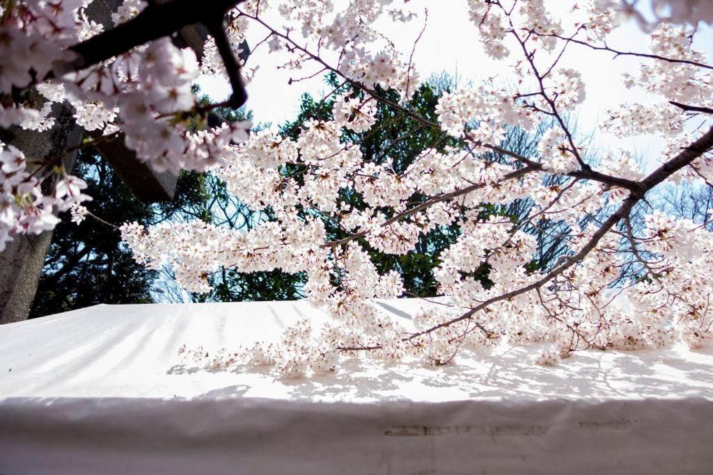 寅ホテル 台東 Hotel 寅 台东 Tora Hotel Taito A Tokyo Exterior photo